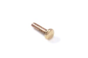 Small Rivet, Bronze